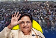 दलित वोट बैंक बसपा की रीढ़ दलित वोट बैंक बसपा की रीढ़