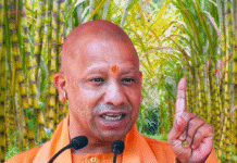 गन्ना और राजनीति का संगम: योगी का नया चुनावी फार्मूला गन्ना और राजनीति का संगम: योगी का नया चुनावी फार्मूला