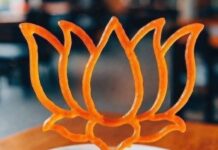 बिहार में बीजेपी का उभार