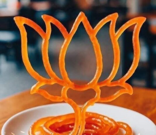 बिहार में बीजेपी का उभार