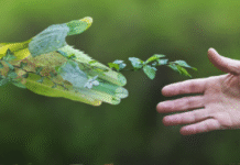 प्रकृति का उपहार है जीवन प्रकृति का उपहार है जीवन