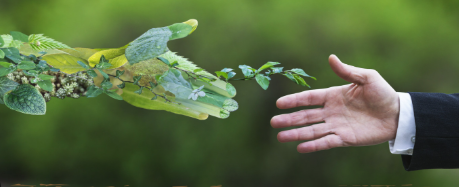 प्रकृति का उपहार है जीवन