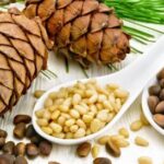 स्वाद,सेहत और पोषण का अनोखा संगम है चिलगोजा स्वाद,सेहत और पोषण का अनोखा संगम है चिलगोजा