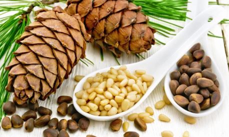 स्वाद,सेहत और पोषण का अनोखा संगम है चिलगोजा स्वाद,सेहत और पोषण का अनोखा संगम है चिलगोजा