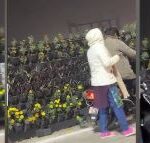 सरकारी संपत्ति की लूट:आम हो या खास सबकी बपौती सरकारी संपत्ति की लूट:आम हो या खास सबकी बपौती