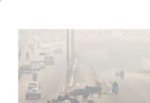 ज़हर बनी हवा खतरे में भविष्य ज़हर बनी हवा खतरे में भविष्य