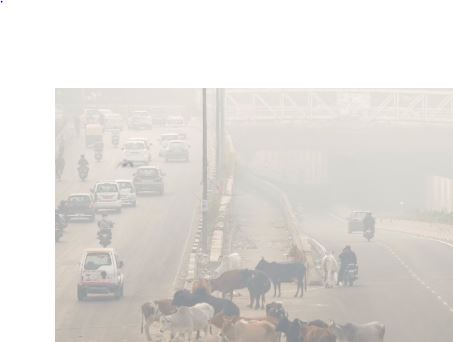 ज़हर बनी हवा खतरे में भविष्य ज़हर बनी हवा खतरे में भविष्य