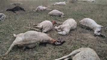 राष्ट्र प्रेरणा स्थल के पास बड़ा हादसा कटघरे में प्रशासन