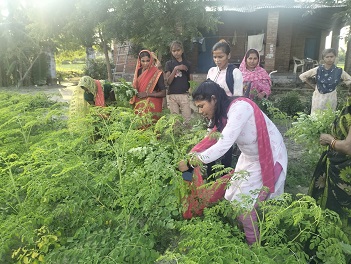 मोरिंगा से आत्मनिर्भर बन रहीं यूपी की बेटियां मोरिंगा से आत्मनिर्भर बन रहीं यूपी की बेटियां