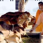 योगी सरकार की संवेदनशील पहल योगी सरकार की संवेदनशील पहल