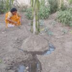 UP में सिंचाई क्रांति: नाबार्ड ने परियोजनाओं को दी मंज़ूरी UP में सिंचाई क्रांति: नाबार्ड ने परियोजनाओं को दी मंज़ूरी