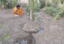 UP में सिंचाई क्रांति: नाबार्ड ने परियोजनाओं को दी मंज़ूरी UP में सिंचाई क्रांति: नाबार्ड ने परियोजनाओं को दी मंज़ूरी