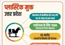 गो सेवा आयोग की विशेष योजना गो सेवा आयोग की विशेष योजना