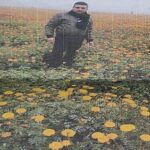 रामनगरी में गेंदा की खेती से बदली प्रदीप की तकदीर रामनगरी में गेंदा की खेती से बदली प्रदीप की तकदीर