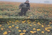 रामनगरी में गेंदा की खेती से बदली प्रदीप की तकदीर रामनगरी में गेंदा की खेती से बदली प्रदीप की तकदीर