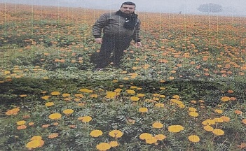 रामनगरी में गेंदा की खेती से बदली प्रदीप की तकदीर रामनगरी में गेंदा की खेती से बदली प्रदीप की तकदीर