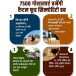 7500 गोशालाएं बनेंगी कैटल फूड सिक्योरिटी हब 7500 गोशालाएं बनेंगी कैटल फूड सिक्योरिटी हब