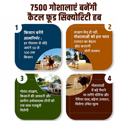 7500 गोशालाएं बनेंगी कैटल फूड सिक्योरिटी हब