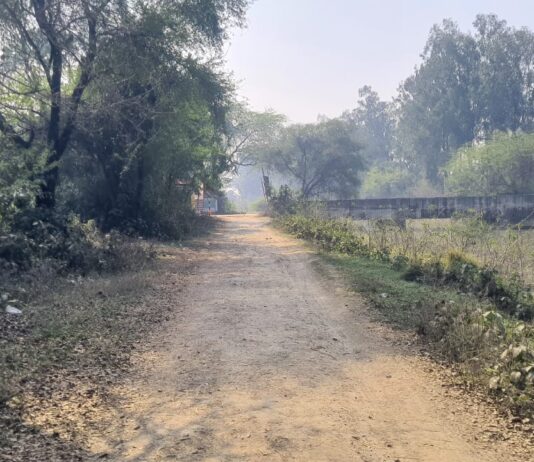 दूर नहीं हो रही ग्रामीण सड़कों की बदहाली