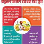नेचुरल फॉर्मिंग हब बन रहा यूपी नेचुरल फॉर्मिंग हब बन रहा यूपी