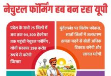 नेचुरल फॉर्मिंग हब बन रहा यूपी नेचुरल फॉर्मिंग हब बन रहा यूपी