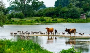 जैव विविधता और करुणा: पशुओं के प्रति हमारी जिम्मेदारी