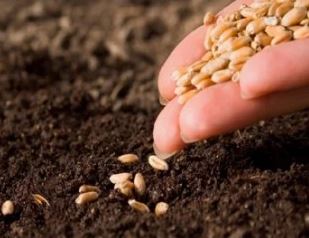 नकली बीजों पर लगेगी नकेल