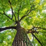 संतुलन ही सुखी जीवन की कुंजी संतुलन ही सुखी जीवन की कुंजी