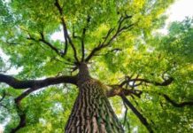 संतुलन ही सुखी जीवन की कुंजी संतुलन ही सुखी जीवन की कुंजी