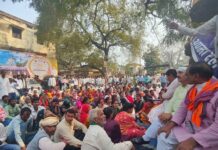 भाजपा सरकार में हो रहा है पिछड़ों पर जुल्म-डॉ.पल्लवी पटेल भाजपा सरकार में हो रहा है पिछड़ों पर जुल्म-डॉ.पल्लवी पटेल