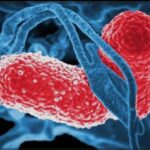 निमोनिया, दस्त का इलाज सभी सरकारी अस्पतालों में उपलब्ध