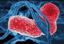 निमोनिया, दस्त का इलाज सभी सरकारी अस्पतालों में उपलब्ध