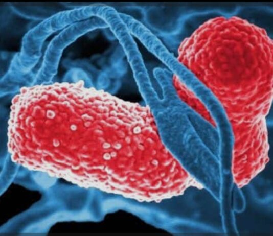 निमोनिया, दस्त का इलाज सभी सरकारी अस्पतालों में उपलब्ध