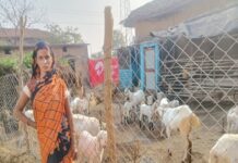 आजीविका मिशन से बदली महिलाओं की तकदीर आजीविका मिशन से बदली महिलाओं की तकदीर