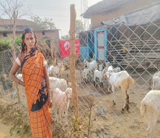 आजीविका मिशन से बदली महिलाओं की तकदीर आजीविका मिशन से बदली महिलाओं की तकदीर