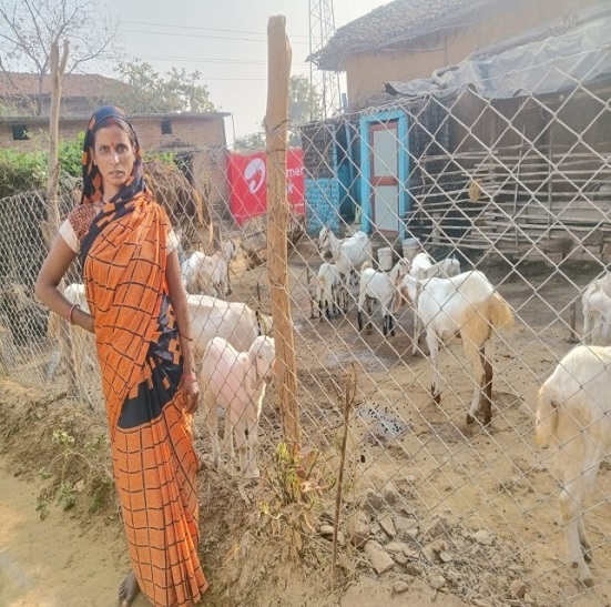 आजीविका मिशन से बदली महिलाओं की तकदीर