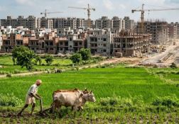 घटती कृषि भूमि और बढ़ती कालोनियां घटती कृषि भूमि और बढ़ती कालोनियां