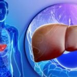 लिवर और आंत का गहरा कनेक्शन: क्यों बिगड़ता है पाचन? लिवर और आंत का गहरा कनेक्शन: क्यों बिगड़ता है पाचन?