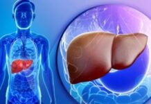 लिवर और आंत का गहरा कनेक्शन: क्यों बिगड़ता है पाचन? लिवर और आंत का गहरा कनेक्शन: क्यों बिगड़ता है पाचन?