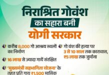 जनभागीदारी से मिलेगा निराश्रित गोवंश को सहारा जनभागीदारी से मिलेगा निराश्रित गोवंश को सहारा