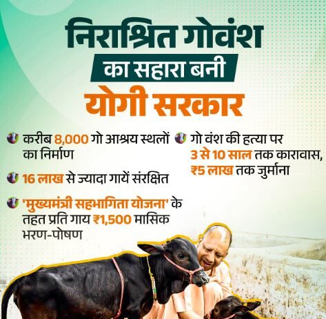जनभागीदारी से मिलेगा निराश्रित गोवंश को सहारा जनभागीदारी से मिलेगा निराश्रित गोवंश को सहारा