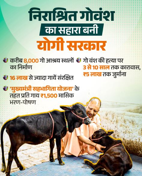 जनभागीदारी से मिलेगा निराश्रित गोवंश को सहारा जनभागीदारी से मिलेगा निराश्रित गोवंश को सहारा