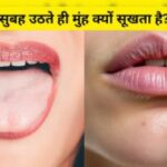 सुबह उठते ही क्यों सूख जाता है मुंह? जानिए शरीर रातभर क्या करता है सुबह उठते ही क्यों सूख जाता है मुंह? जानिए शरीर रातभर क्या करता है