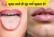 सुबह उठते ही क्यों सूख जाता है मुंह? जानिए शरीर रातभर क्या करता है सुबह उठते ही क्यों सूख जाता है मुंह? जानिए शरीर रातभर क्या करता है