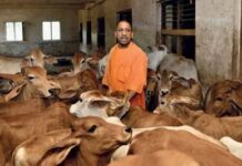 यूके,यूएसए,ऑस्ट्रेलिया समेत 10 से अधिक देशों में बजा यूपी का डंका यूके,यूएसए,ऑस्ट्रेलिया समेत 10 से अधिक देशों में बजा यूपी का डंका