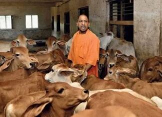 यूके,यूएसए,ऑस्ट्रेलिया समेत 10 से अधिक देशों में बजा यूपी का डंका यूके,यूएसए,ऑस्ट्रेलिया समेत 10 से अधिक देशों में बजा यूपी का डंका