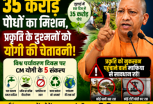 Photo of 35 करोड़ पौधों का मिशन, प्रकृति के दुश्मनों को योगी की चेतावनी