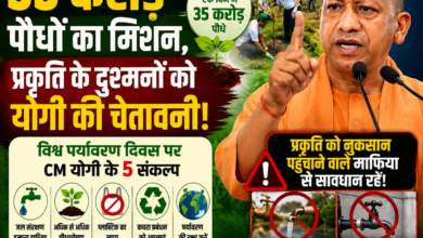 Photo of 35 करोड़ पौधों का मिशन, प्रकृति के दुश्मनों को योगी की चेतावनी