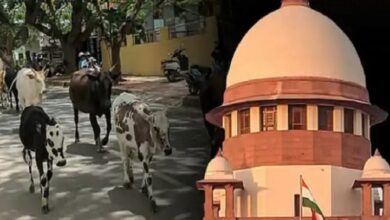 Photo of गोहत्या विवाद:अदालत, सरकार और आस्था के बीच बड़ा टकराव