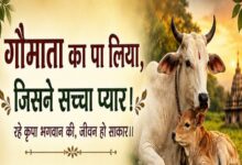 Photo of गौमाता का पा लिया, जिसने सच्चा प्यार
